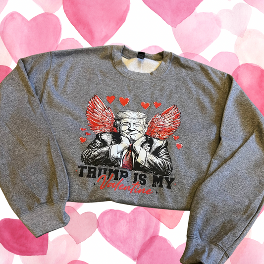 Trump Valentines Gray Pullover