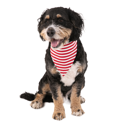 Candy Cane Dog Bandana