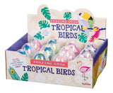 Toysmith Amazing Grow Tropical Birds