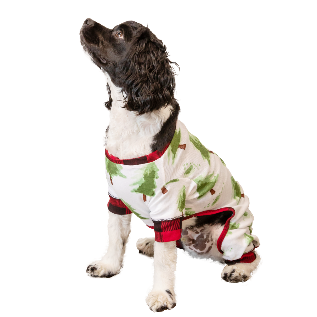 Evergreen Plaid Dog Flapjack