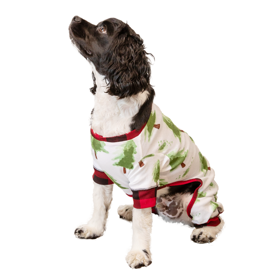 Evergreen Plaid Dog Flapjack