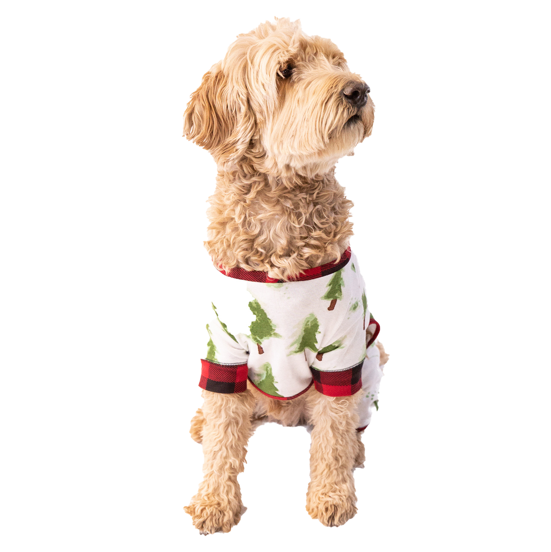 Evergreen Plaid Dog Flapjack